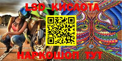 PSILOCYBIN Гай