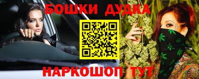 индика Гатчина