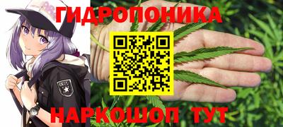 индика Гатчина