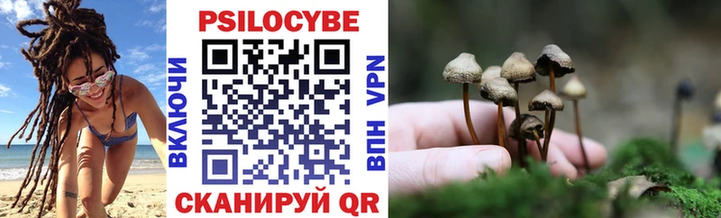Галлюциногенные грибы Cubensis  Старая Русса 