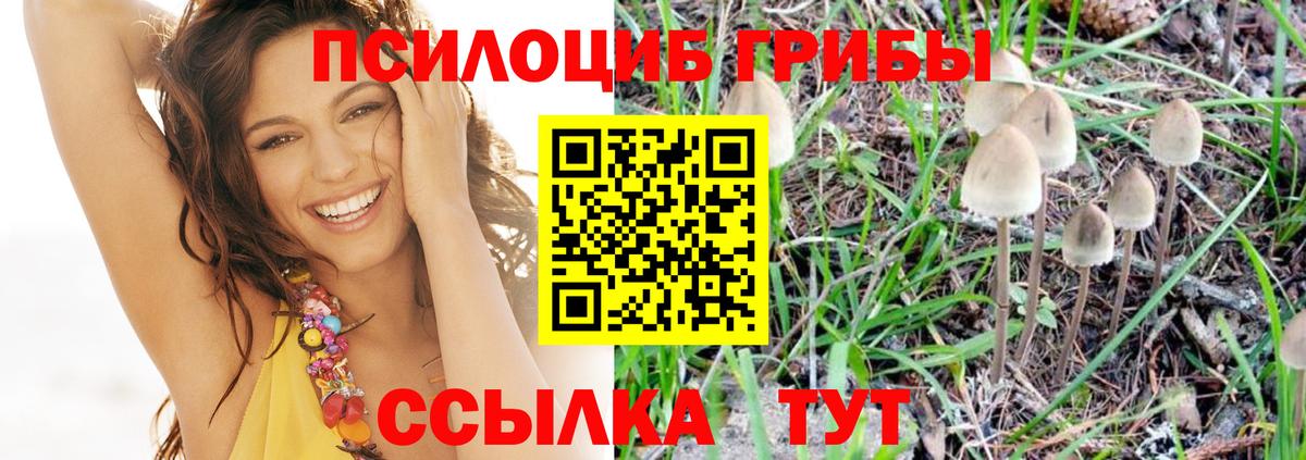 Псилоцибиновые грибы GOLDEN TEACHER Старая Русса
