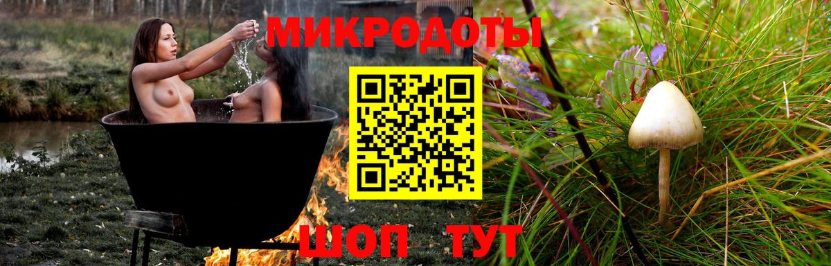 Галлюциногенные грибы Psilocybe  Галлюциногенные грибы мухоморы  Вход с VPN  Старая Русса 