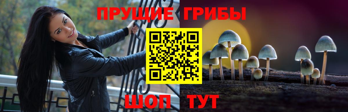 Псилоцибиновые грибы мицелий  Галлюциногенные грибы прущие грибы  Старая Русса 