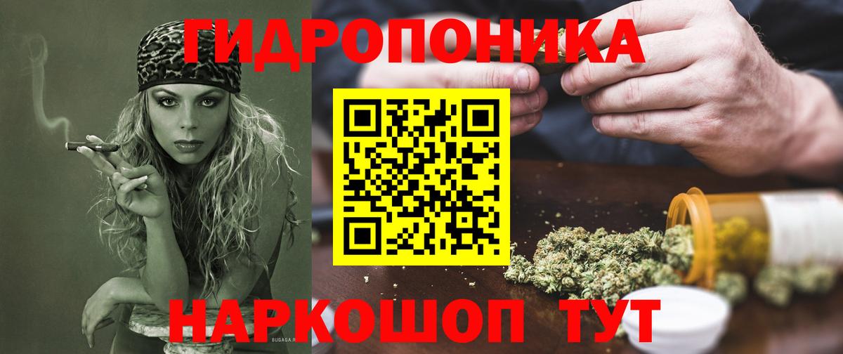 Каннабис AK-47  Шишки марихуана Ganja  Старая Русса  Бошки марихуана White Widow 